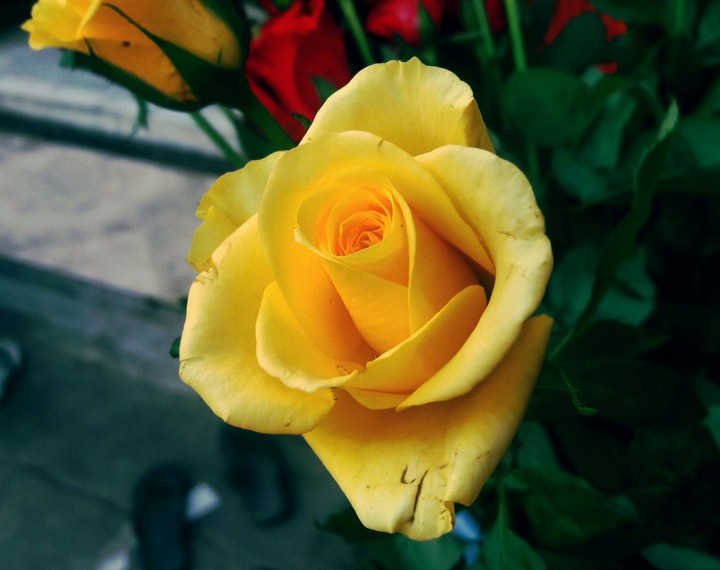 yellow !