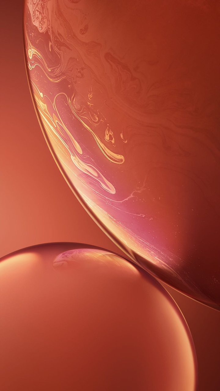 Wallpaper iPhone Xr Coral