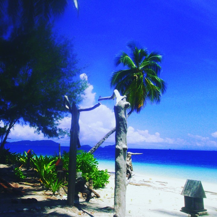 Discover Paradise..