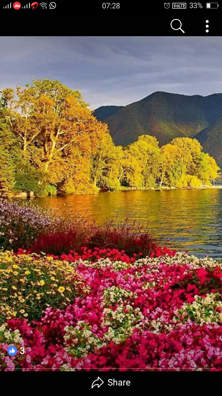 Beautiful Nature