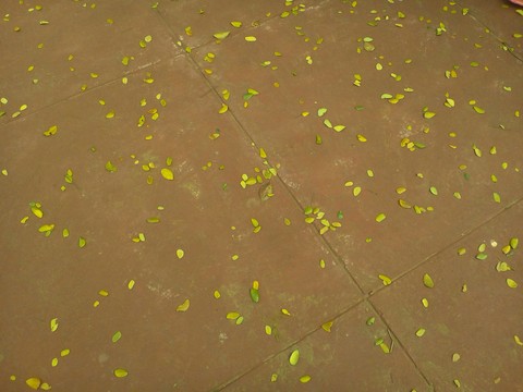 Ground