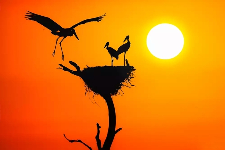 sunset