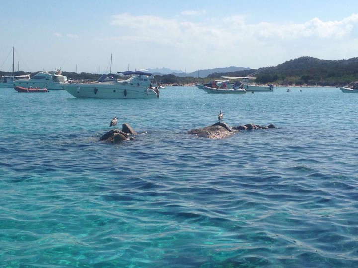 Maddalena
