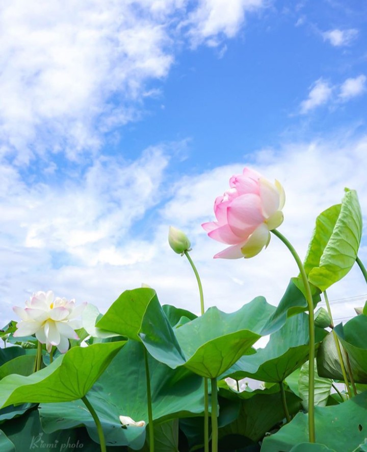 ღ✿◠‿◠✿ღ