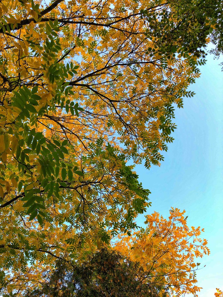 autumn