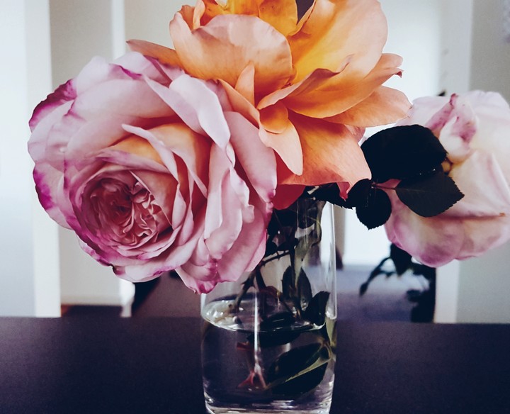 scented roses