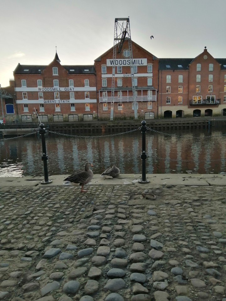 Save the duck
