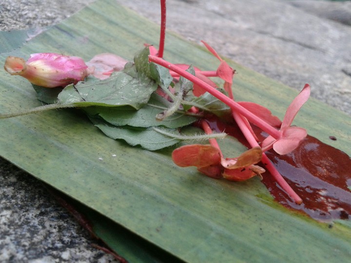 Kerala temple prasadam