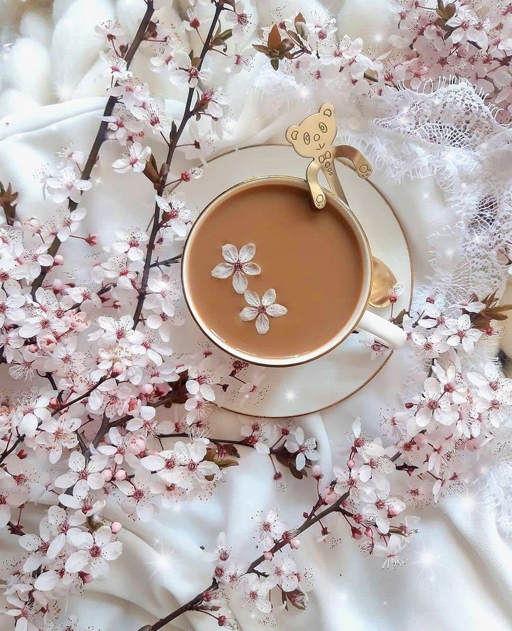 ❇️☕❇️