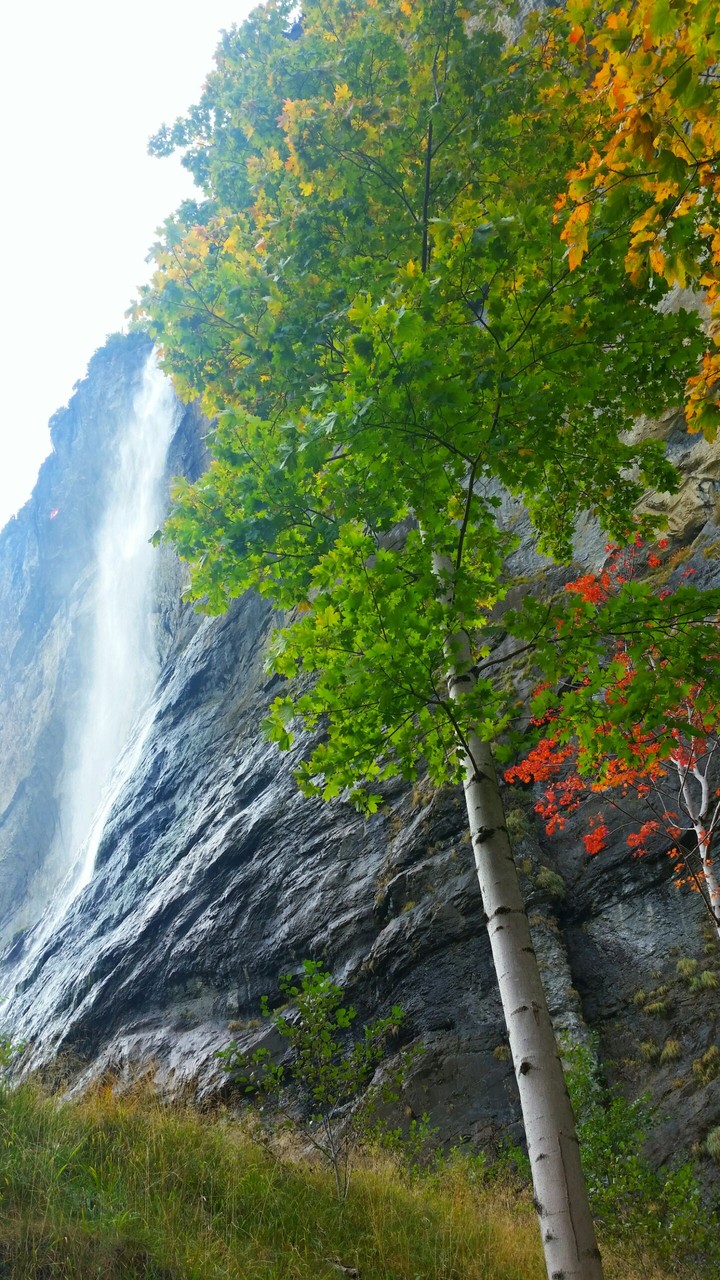 Lauterbrunnen