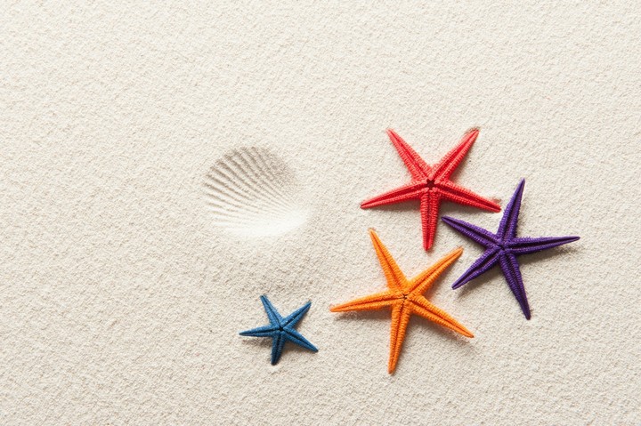 Star fish