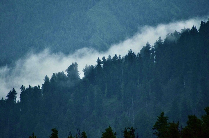 Kashmir