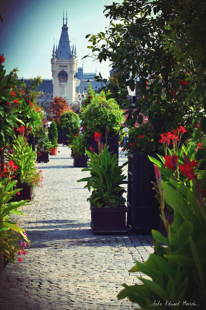 Summer in Iasi, Romania