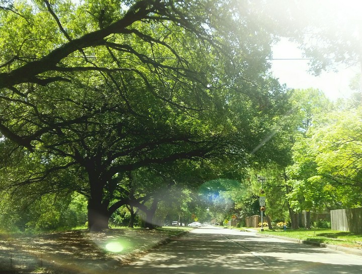 Nature