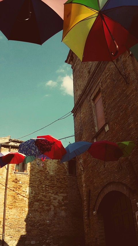 Umbrella
