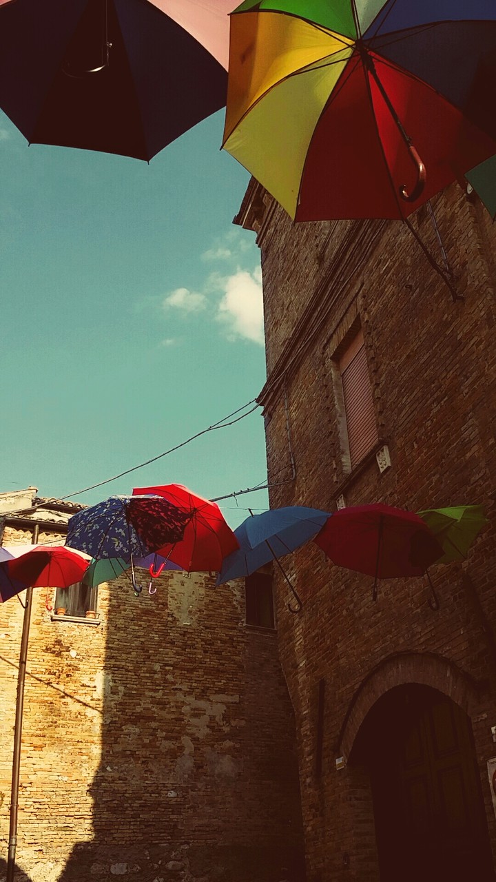 Umbrella