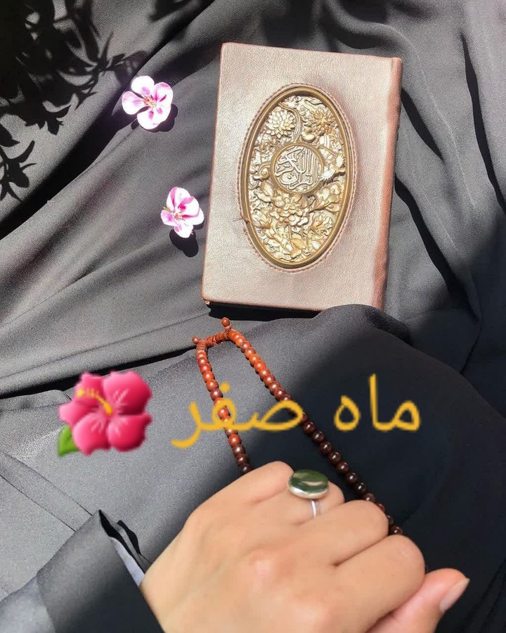 ماه سفر و شهادت امام رضا علیه سلام در راه است