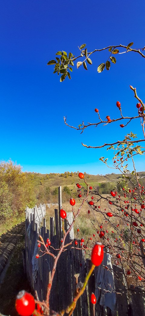 landscapes, landscape壁紙