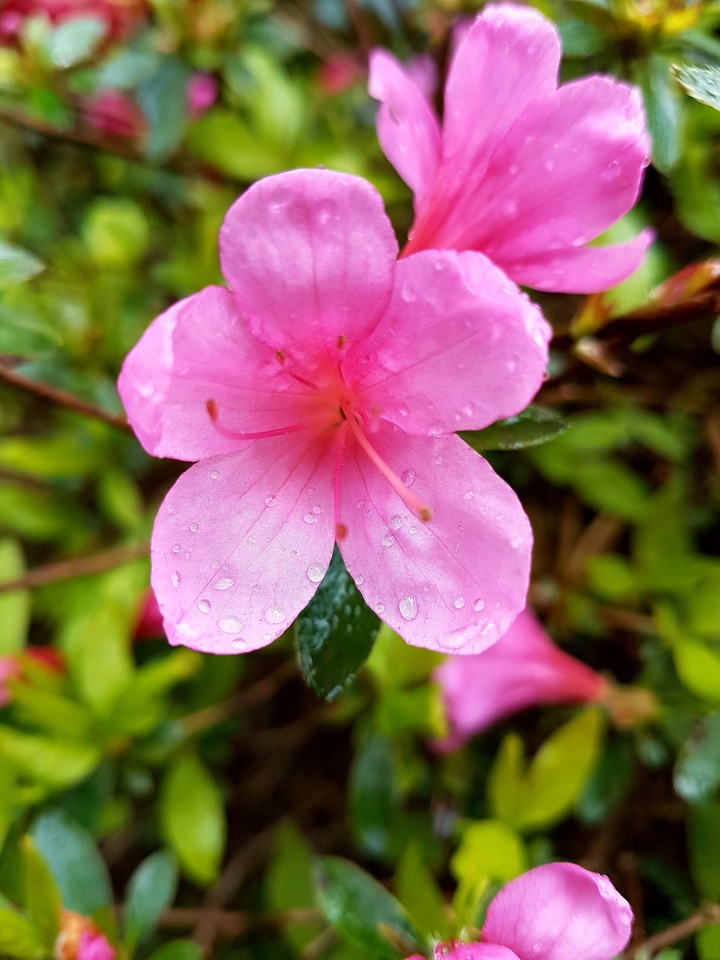 Rainy day