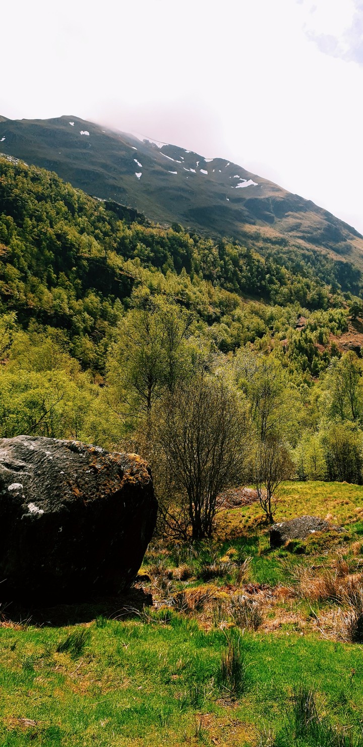 Scotland
