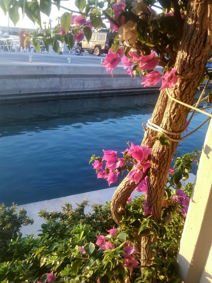 in summer3> bodrum/turkey