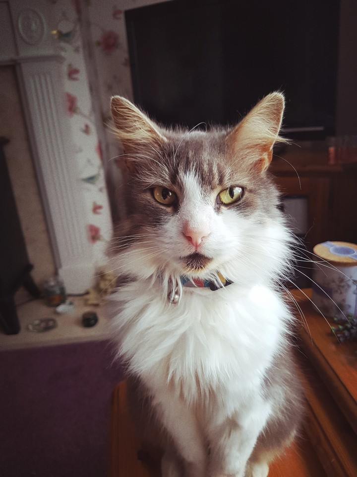 Beautiful Florrie