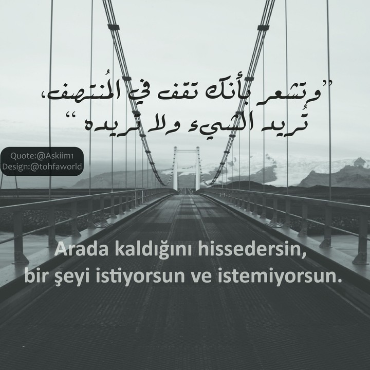 Arabic/turkish quote 2