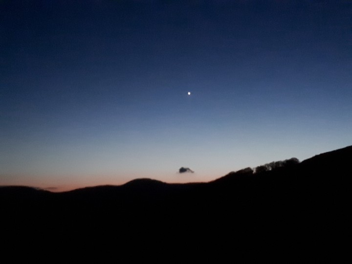 Venus