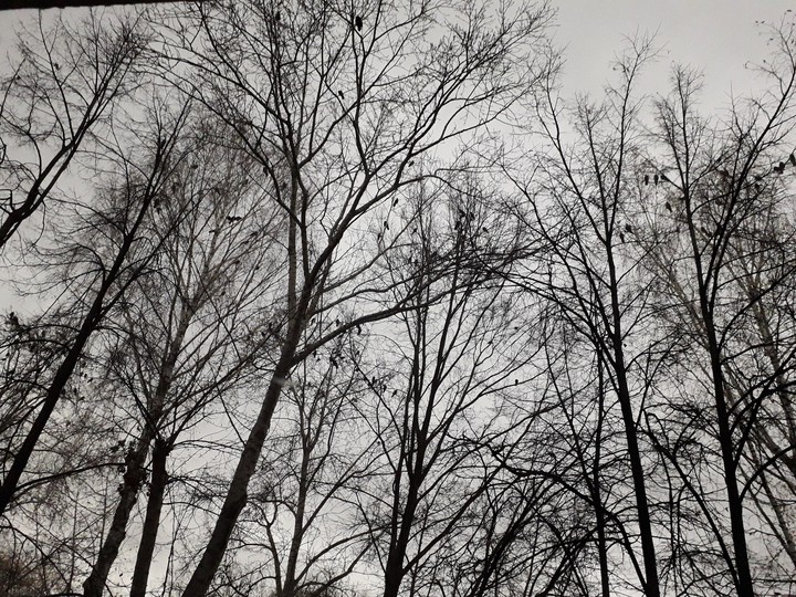 Overcast