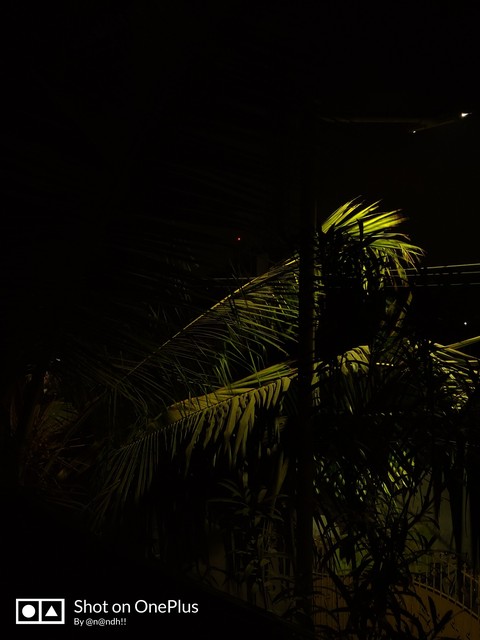 green leaf