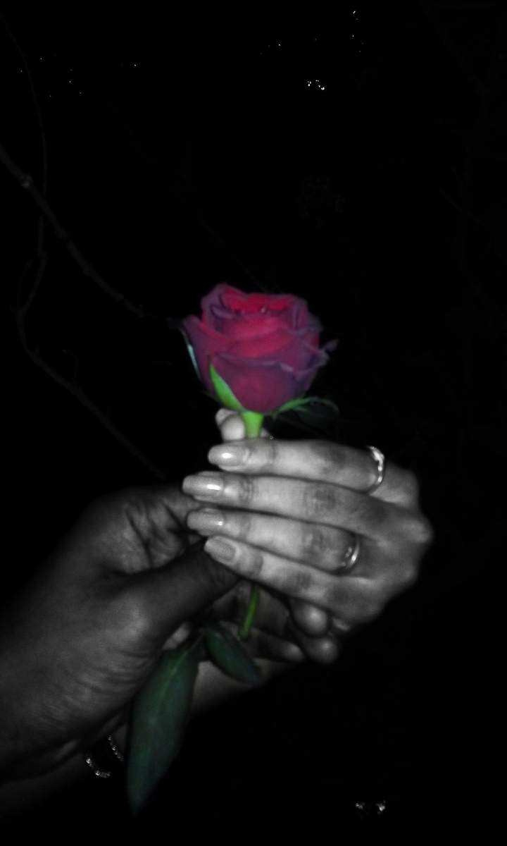 rose