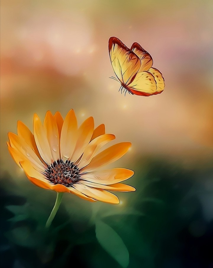 ❁❤️❁