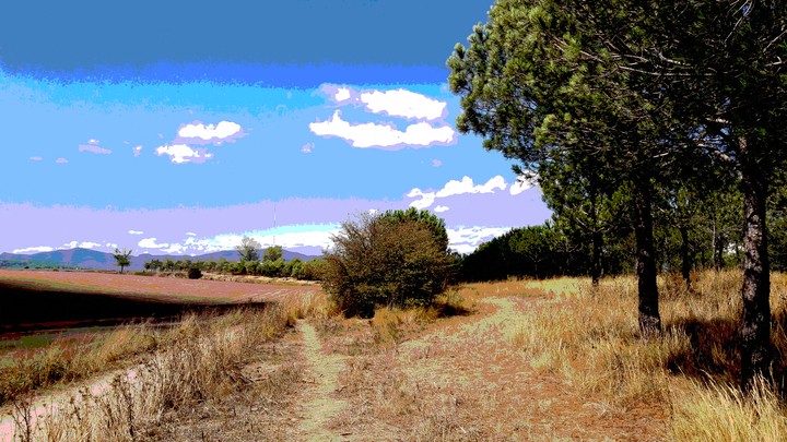 Campos solitarios