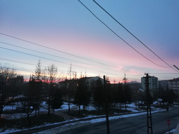 view