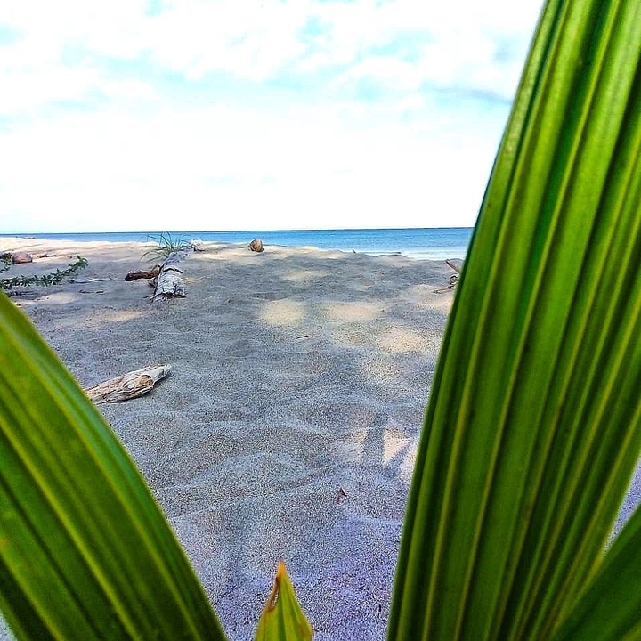 BEACH AND SAND