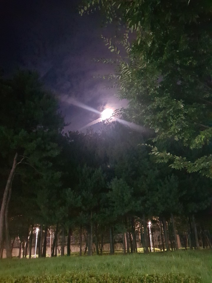 밤하늘