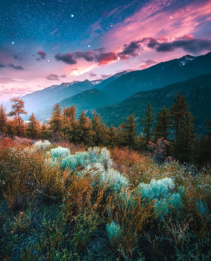 #nature