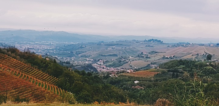 Langhe