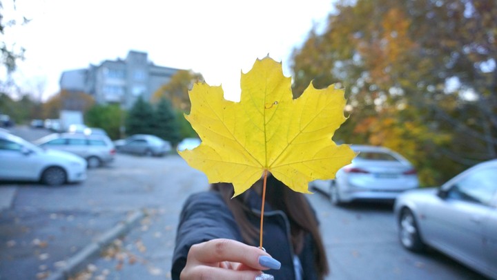 Autumn Leaf Girl Holding Leaf