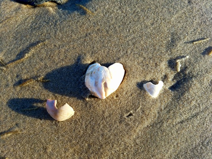 Love Notes From The Sea
