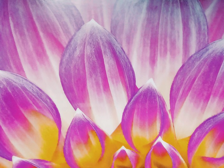 flor