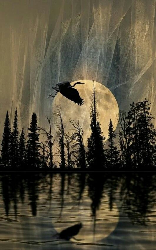 moon
