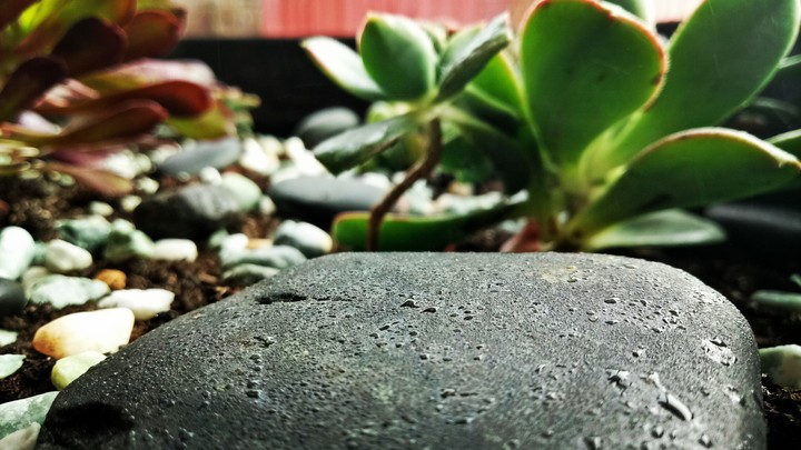 rock with a bit of water