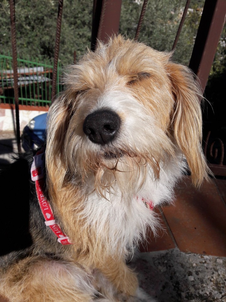 dolce riposo