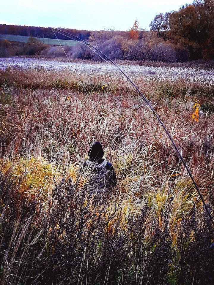 осень