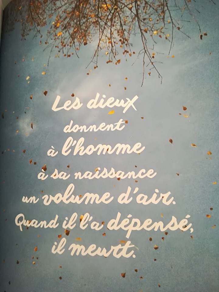 Citation