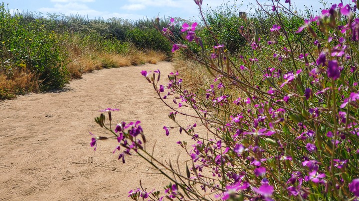 pathway