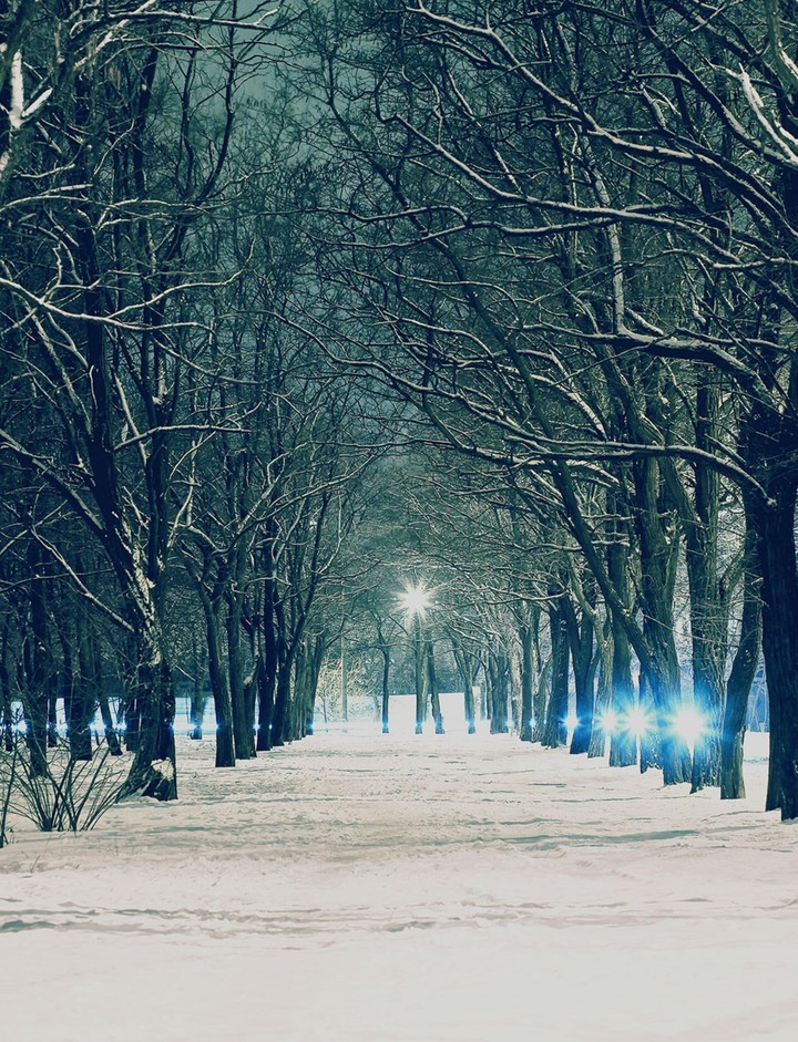 Winter