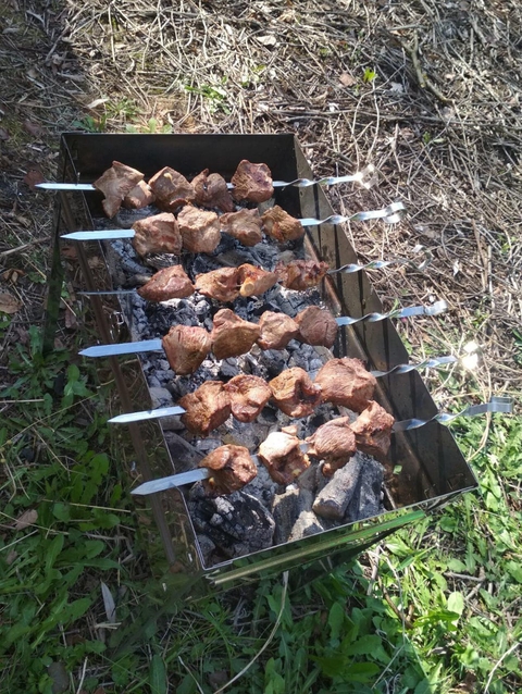 Juicy shish kebab