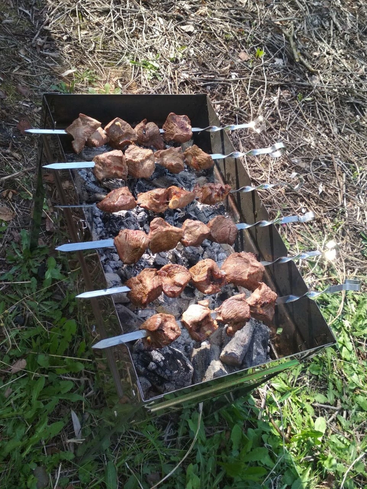 Juicy shish kebab